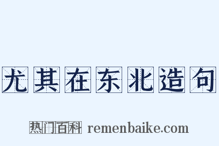 尤其在东北造句是什么意思的图片